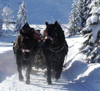 Hotel Oxa Hittisau Eksteriør bilde