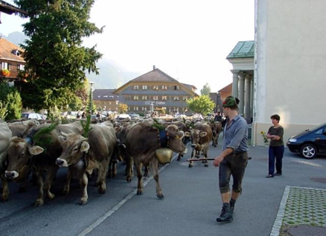 Hotel Oxa Hittisau Eksteriør bilde